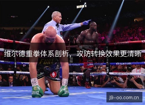 维尔德重拳体系剖析,攻防转换效果更清晰 维尔德重拳体系剖析,攻防转换效果更清晰